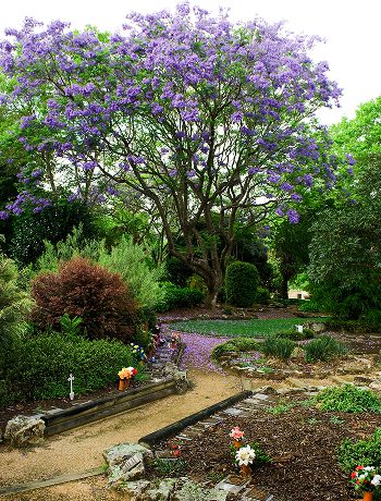 Memorial Parks and Services